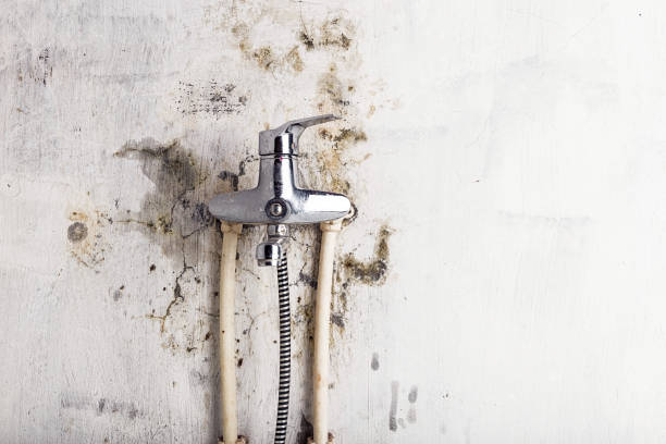 Best Mold Remediation  in Port Hadlock Irondale, WA